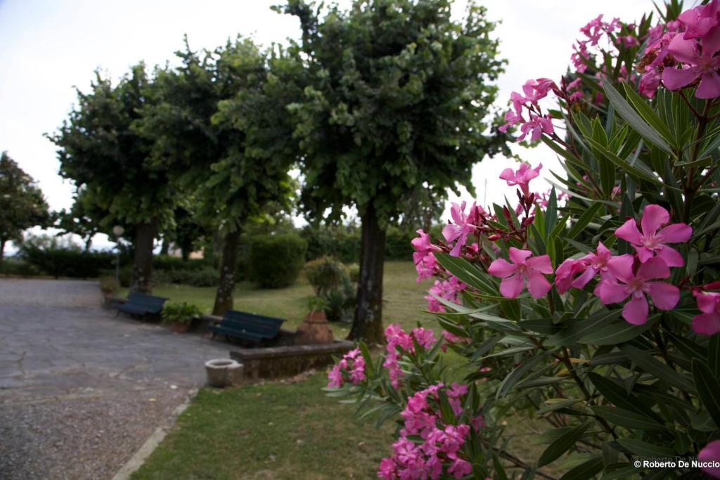 Tenuta Gaetano Spadaro คาปานโนริ ภายนอก รูปภาพ