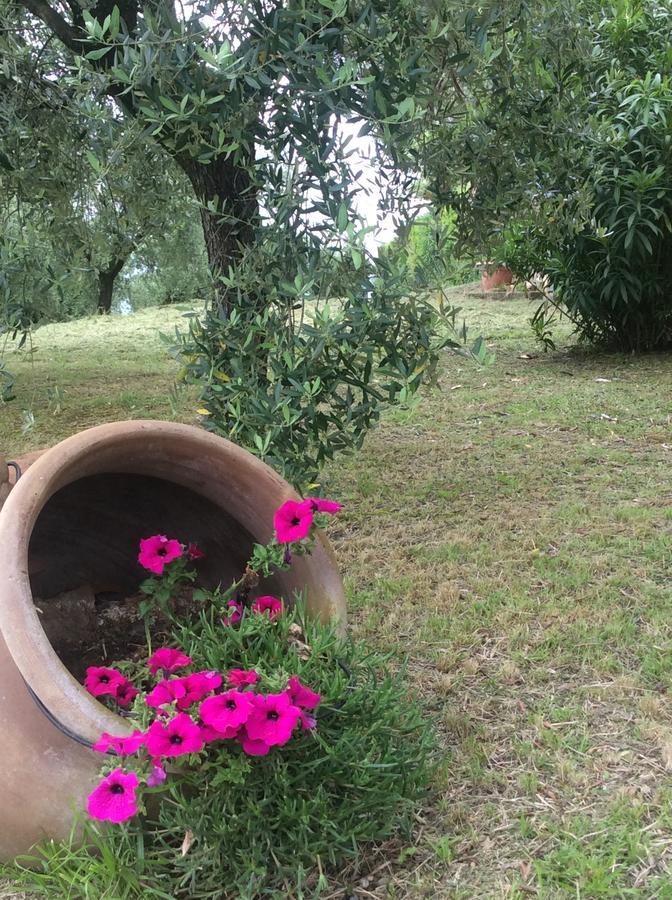Tenuta Gaetano Spadaro คาปานโนริ ภายนอก รูปภาพ